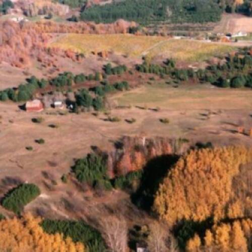 Farm Ariel Photo